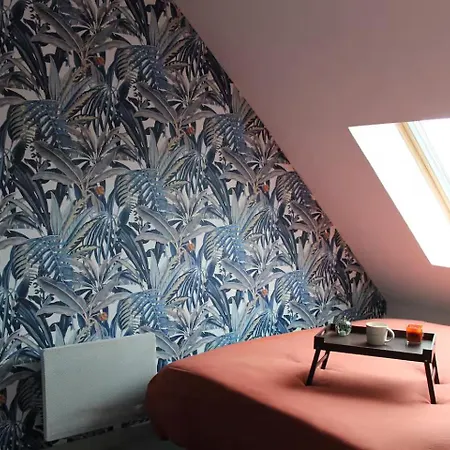 度假居 Modern House With Garden, Quiet Area Calais Dunkirk